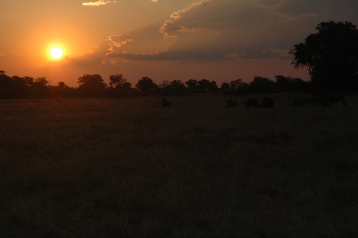 1st sunset in the bush 